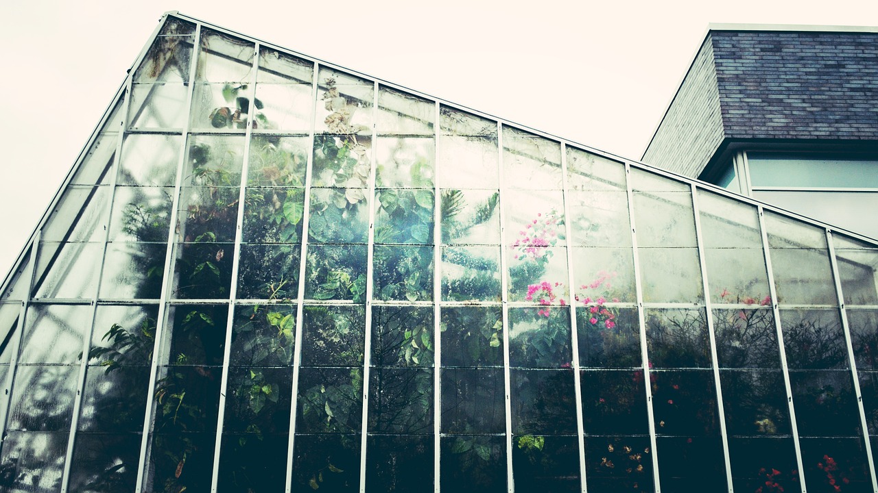 greenhouse, conservatory, gardening